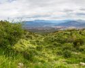 photogallery03