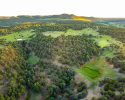 photogallery21