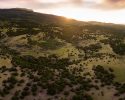 photogallery26