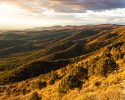 photogallery29