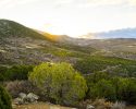photogallery31